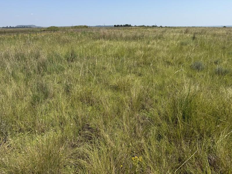 0 Bedroom Property for Sale in Bethlehem Rural Free State